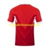 Fußballtrikots VfB Stuttgart 2024-2025 Kurzarm Auswärts-trikot kaufen